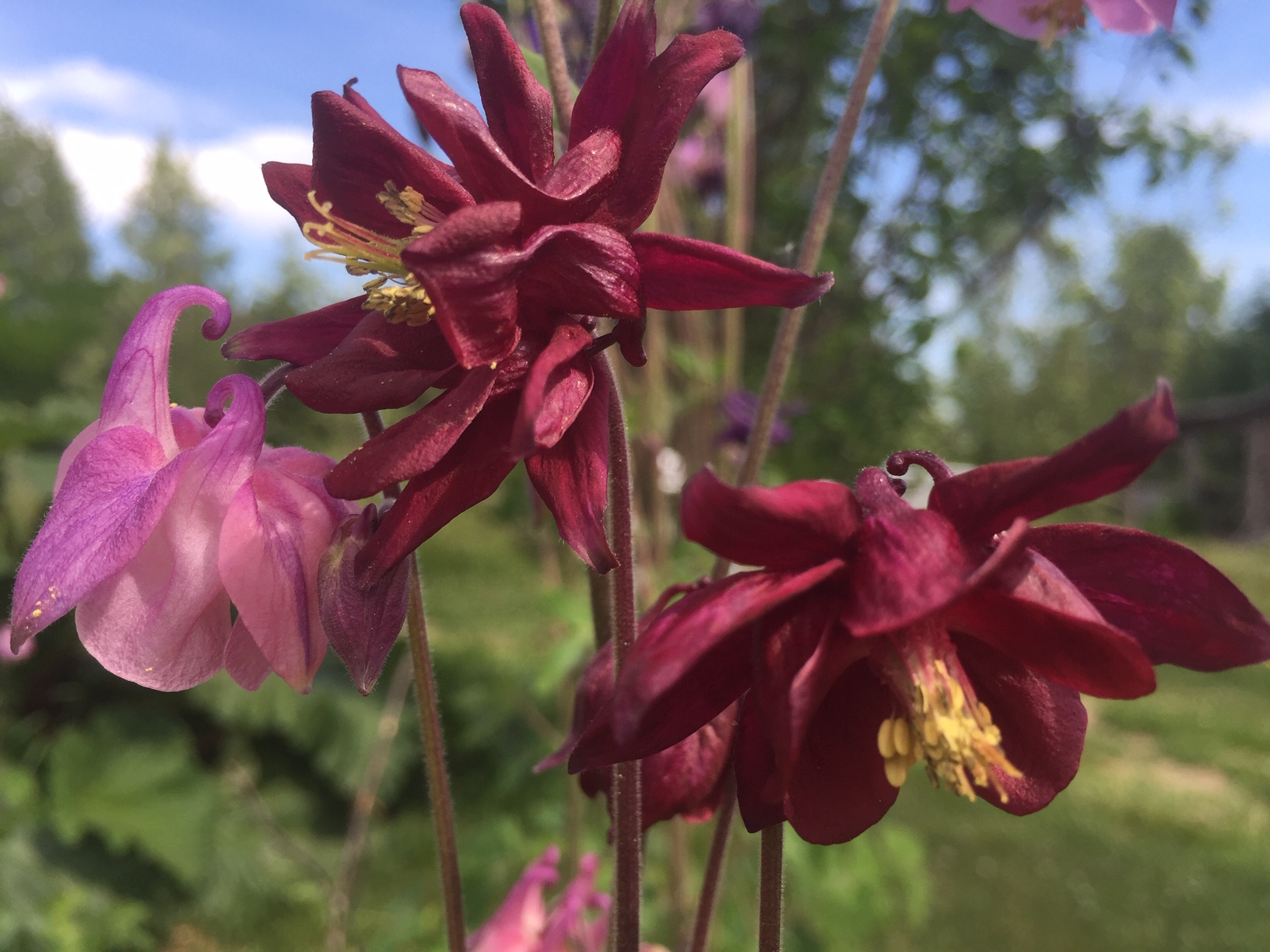 Sommartider och sommarläsning